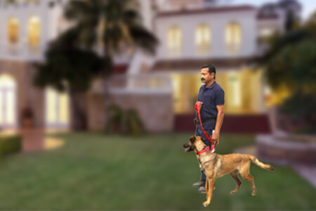 best Dog Squads Service in India
